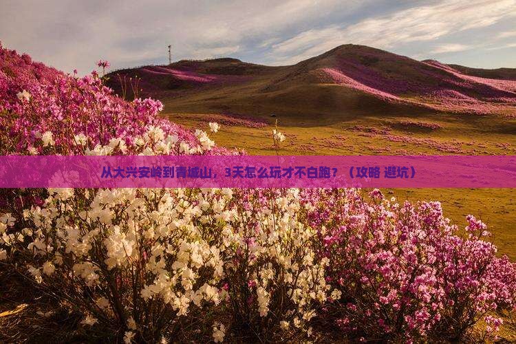 大兴安岭去四川青城山个人游