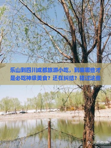 乐山到四川成都旅游小吃