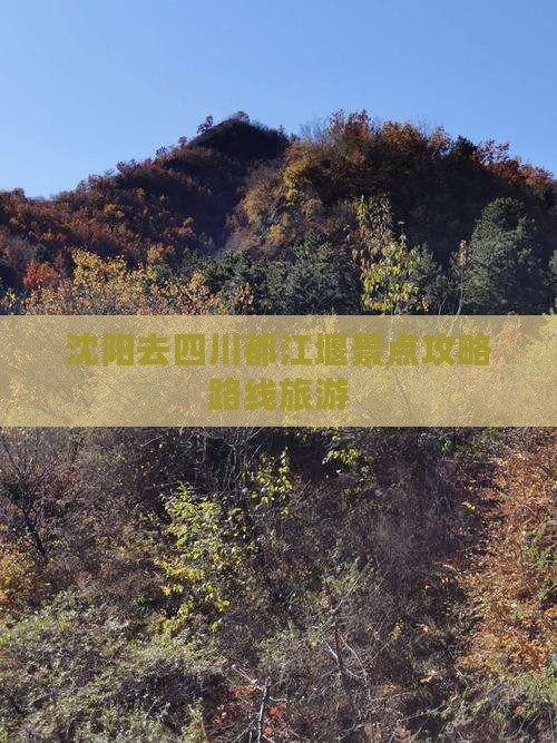 沈阳去四川都江堰景点