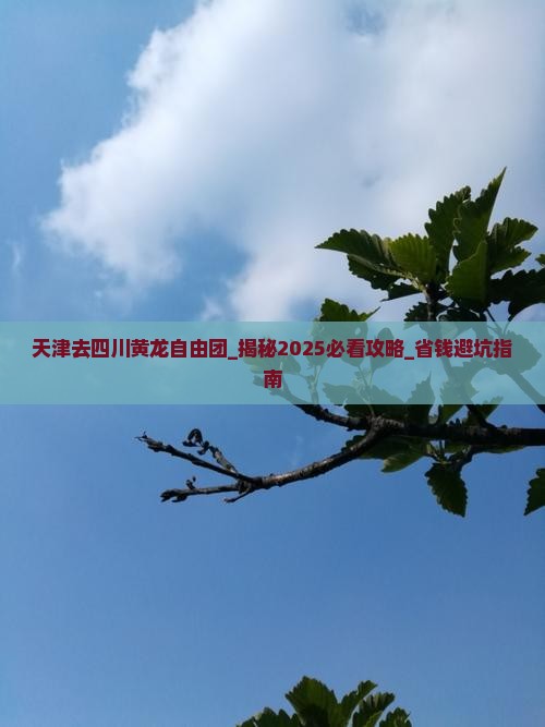 天津去四川黄龙自由团