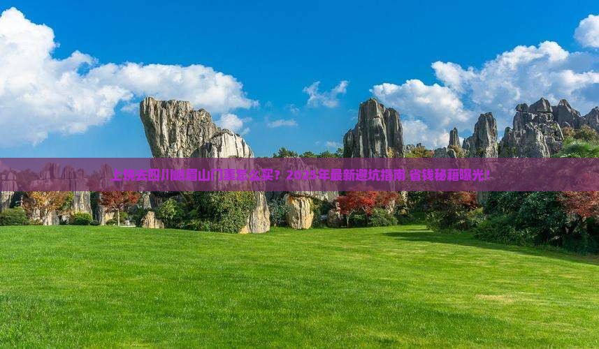上饶去四川峨眉山门票 上饶去四川峨眉山门票
