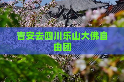 吉安去四川乐山大佛自由团