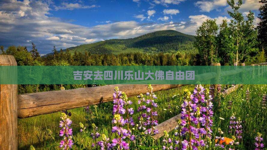 吉安去四川乐山大佛自由团
