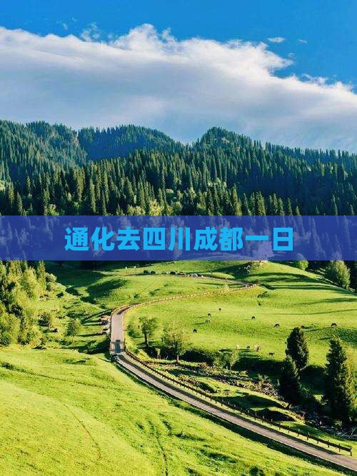 通化去四川成都一日