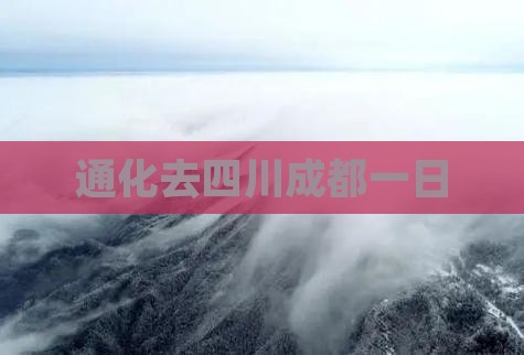 通化去四川成都一日