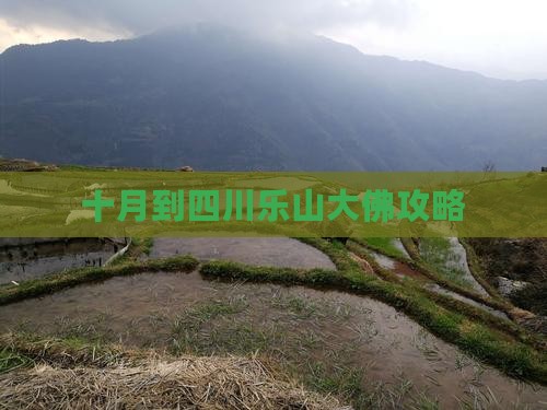 十月到四川乐山大佛攻略