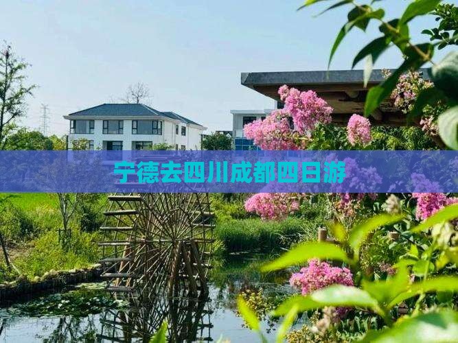 宁德去四川成都四日游