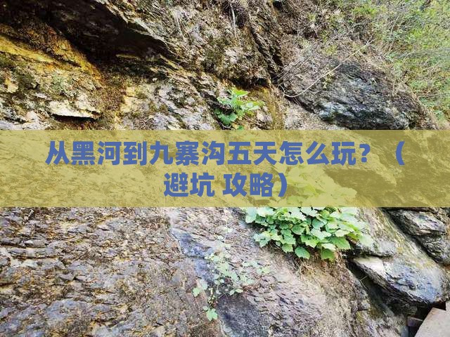 黑河到四川九寨沟五日游