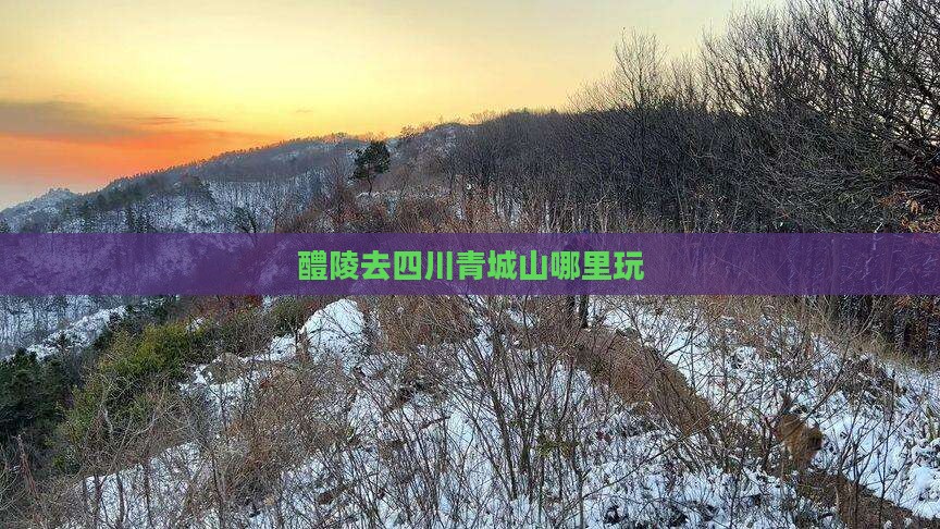 醴陵去四川青城山哪里玩