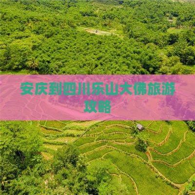 安庆到四川乐山大佛必去地