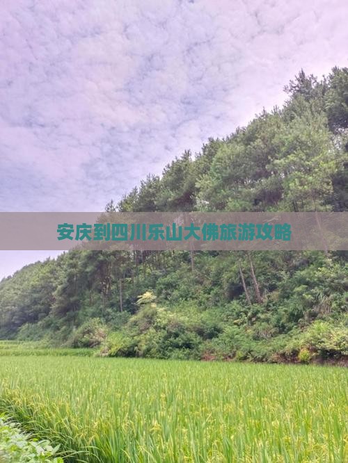 安庆到四川乐山大佛必去地