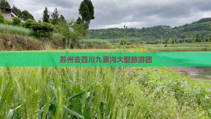 苏州去四川九寨沟大型旅游团
