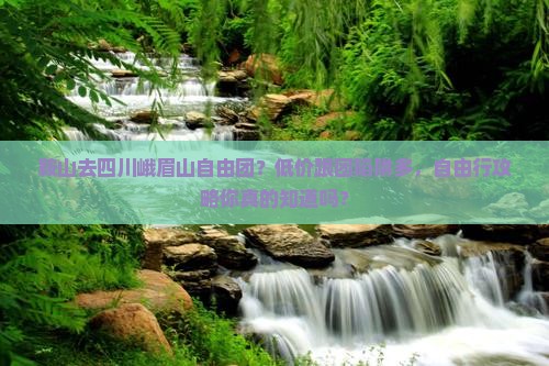 鞍山去四川峨眉山自由团