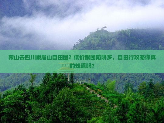 鞍山去四川峨眉山自由团