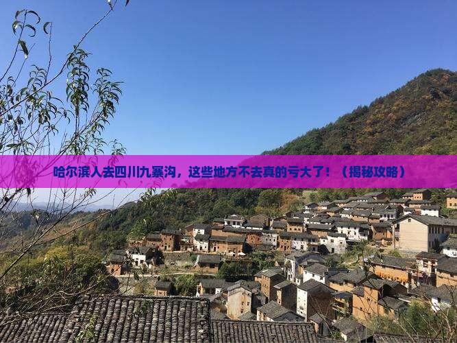 哈尔滨去四川九寨沟必去地