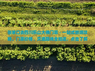 张家口去四川乐山大佛门票