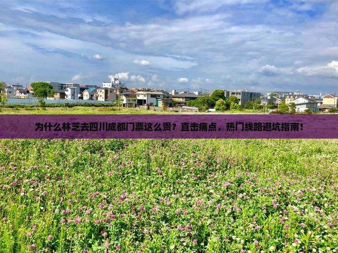 林芝去四川成都门票