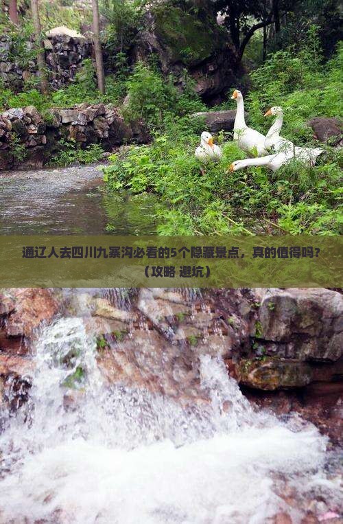 通辽市去四川九寨沟必去地