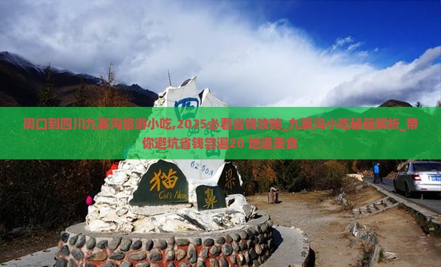 周口到四川九寨沟旅游小吃