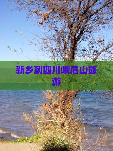 新乡到四川峨眉山旅游