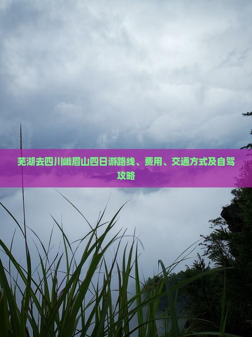 芜湖去四川峨眉山四日游
