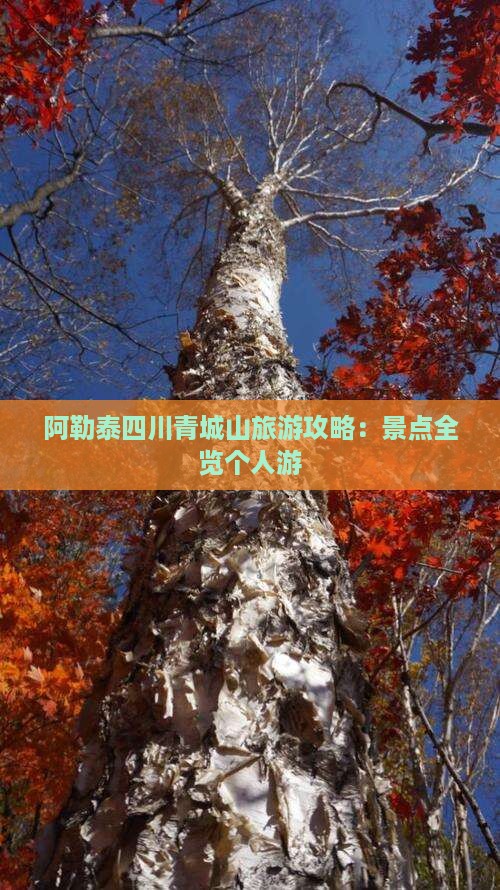 阿泰勒去四川青城山个人游