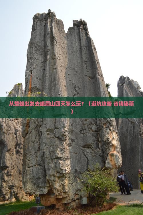 楚雄到四川峨眉山四日游