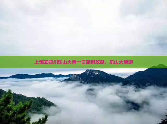 上饶去四川乐山大佛一日