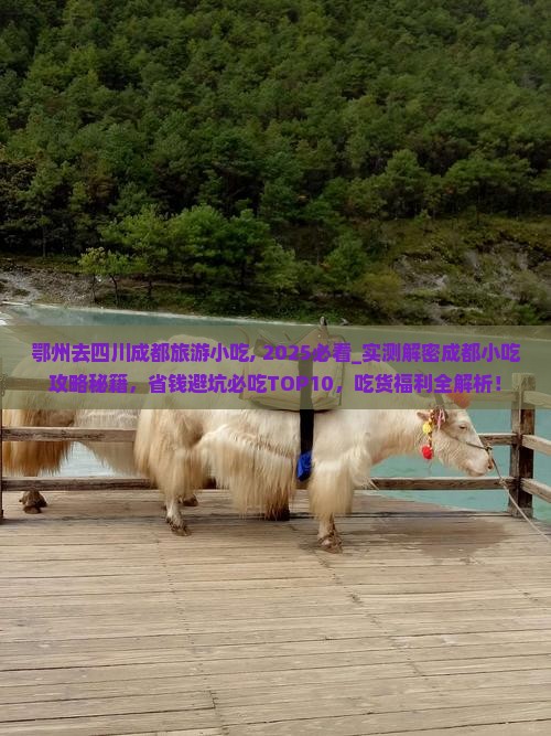 鄂州去四川成都旅游小吃