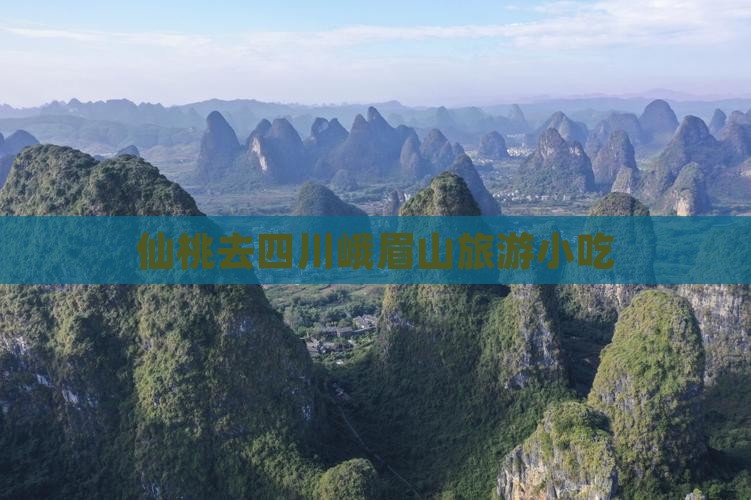 仙桃去四川峨眉山旅游小吃