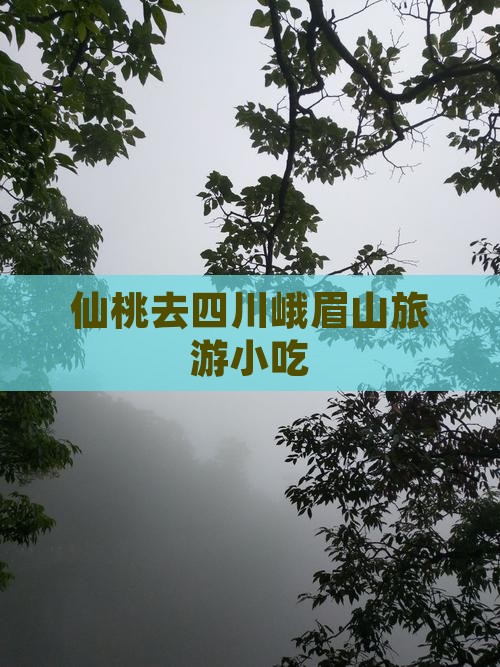 仙桃去四川峨眉山旅游小吃