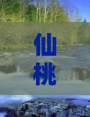 仙桃去四川峨眉山旅游小吃