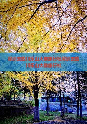 深圳去四川乐山大佛旅行社