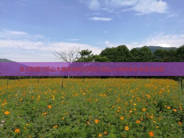 武汉到四川乐山大佛旅游