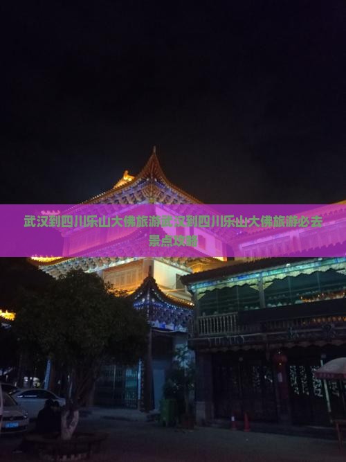 武汉到四川乐山大佛旅游