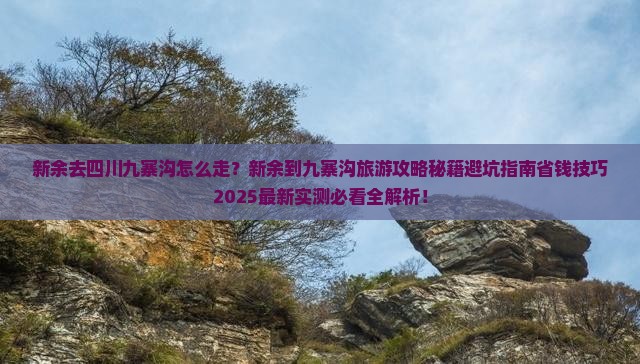 新余去四川九寨沟旅行社