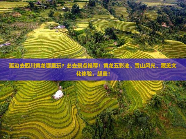 延边去四川黄龙哪里玩