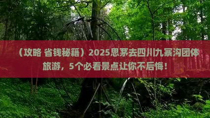 思茅去四川九寨沟团体旅游
