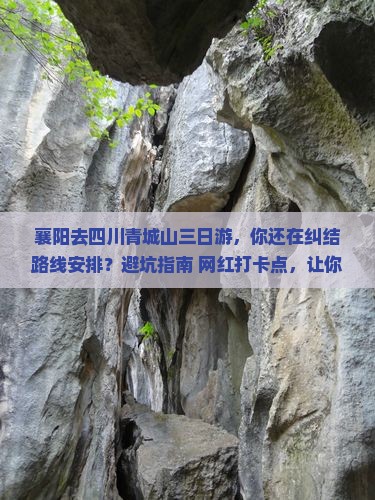 襄阳去四川青城山三日游