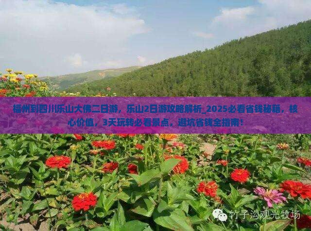 福州到四川乐山大佛二日游