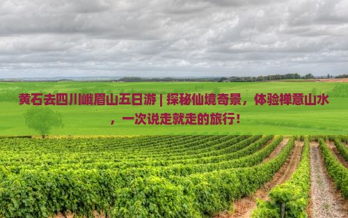 黄石去四川峨眉山五日游