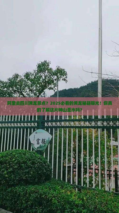 阿里去四川黄龙景点