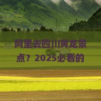 阿里去四川黄龙景点