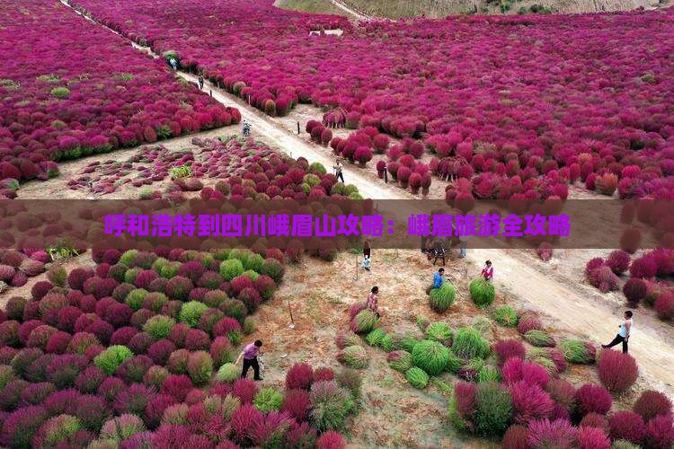呼和浩特到四川峨眉山攻略