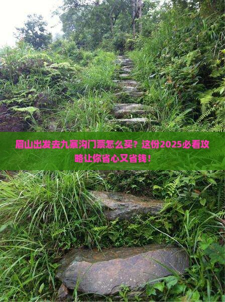 眉山到四川九寨沟门票
