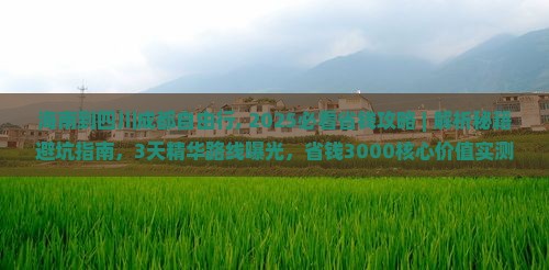 海南到四川成都自由行