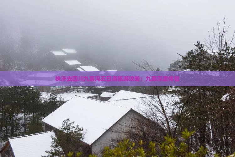株洲去四川九寨沟五日游