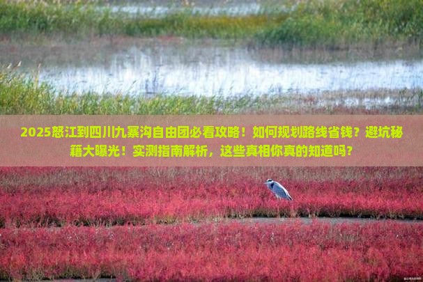 怒江到四川九寨沟自由团