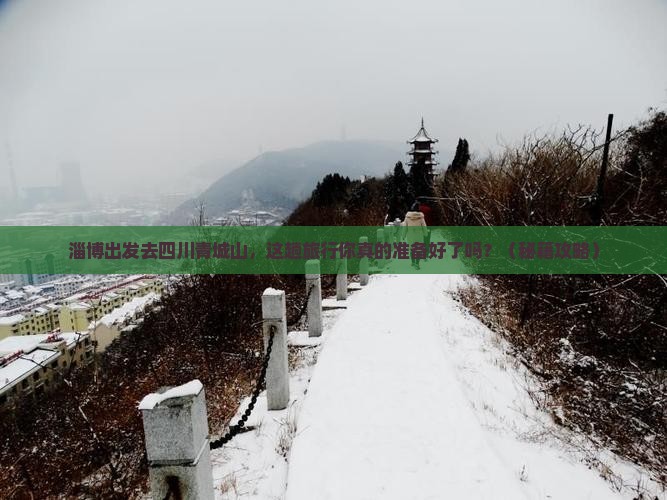 淄博去四川青城山旅游