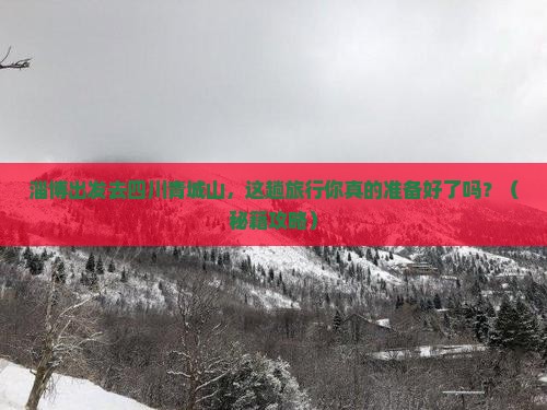 淄博去四川青城山旅游